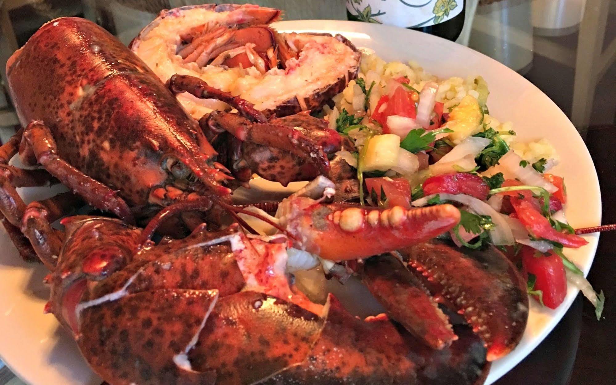 Alpenhorn Bed And Breakfast Big Bear Lake Bagian luar foto