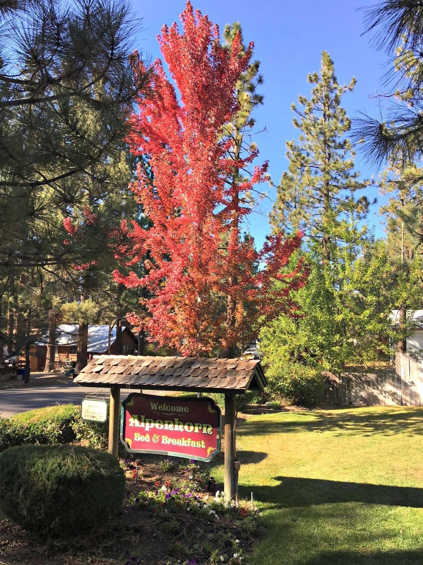 Alpenhorn Bed And Breakfast Big Bear Lake Bagian luar foto